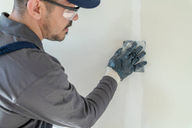 Best Commercial Drywall Repair  in Seneca, KS